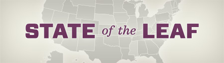 State of the Leaf thumbnail